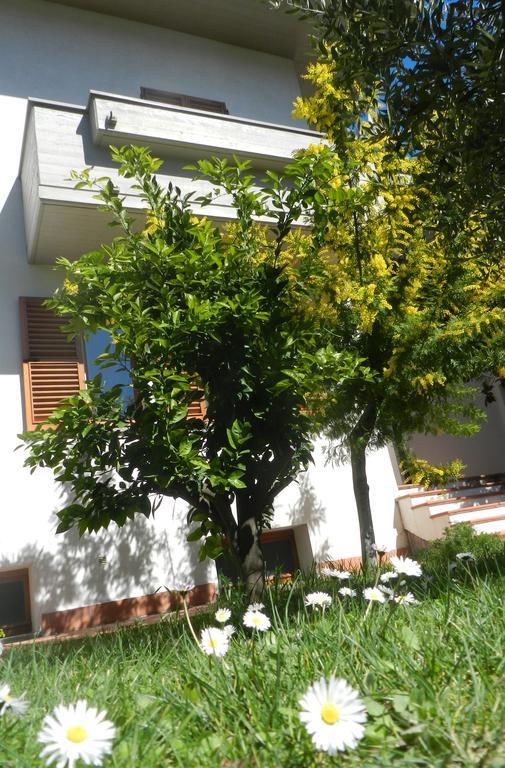 Brezza da Mare Hotel Montemarciano Exterior foto